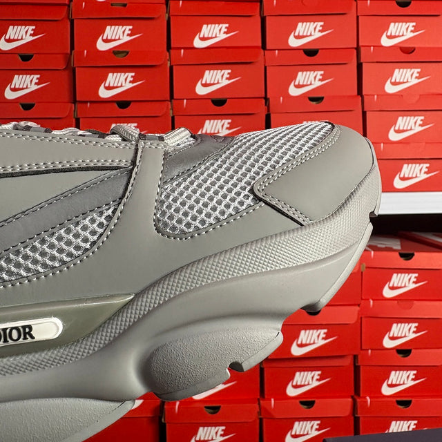 Dior B22 — Grey/White