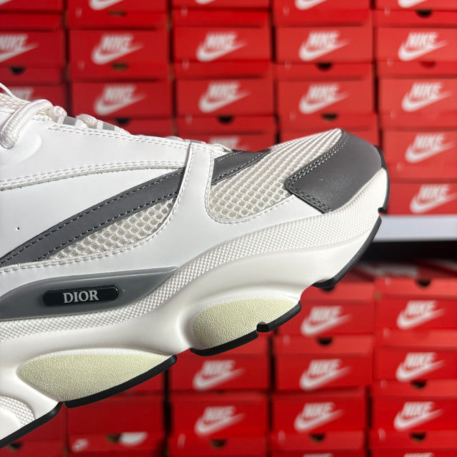 Dior B22 — White/Grey
