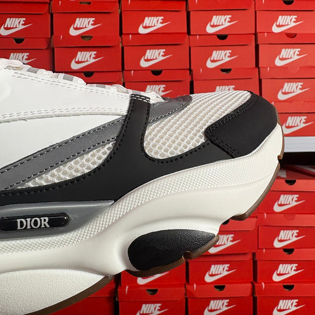 Dior B22 — White/Black