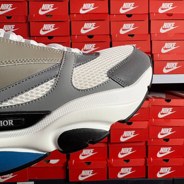 Dior B22 — White/Grey/Blue