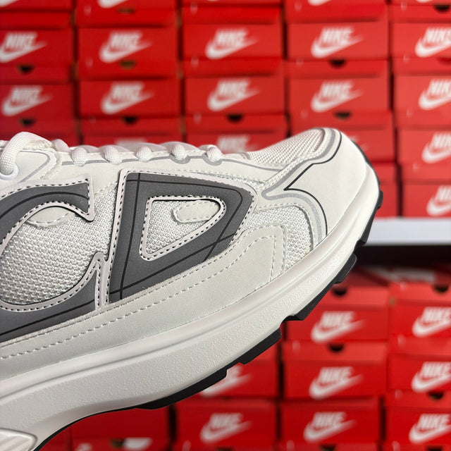 Dior B30 — White/Grey II