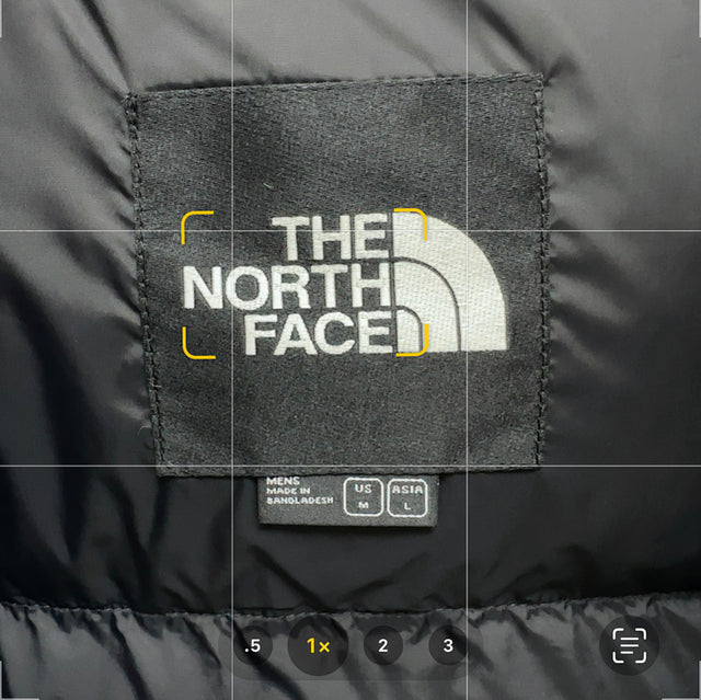 The North Face Nuptse Puffer — Brown